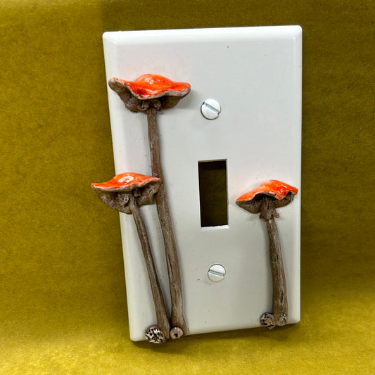 Mushroom switch plate cover OK