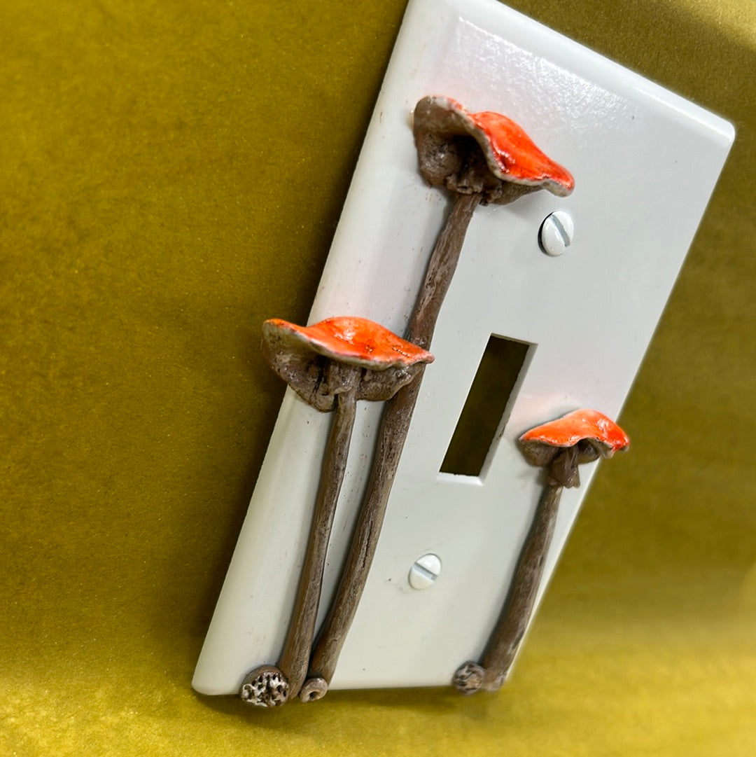 Mushroom switch plate cover OK