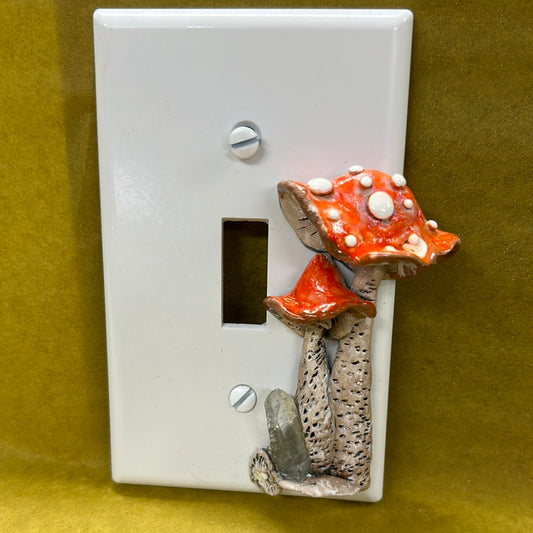 Mushroom and clear quartz switch plate cover