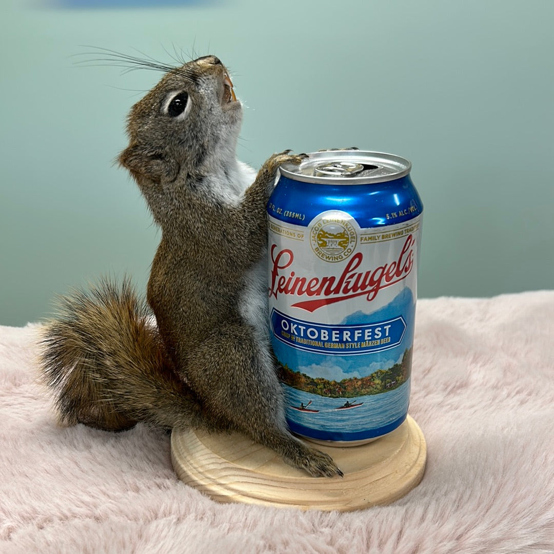 Beer Buddy!