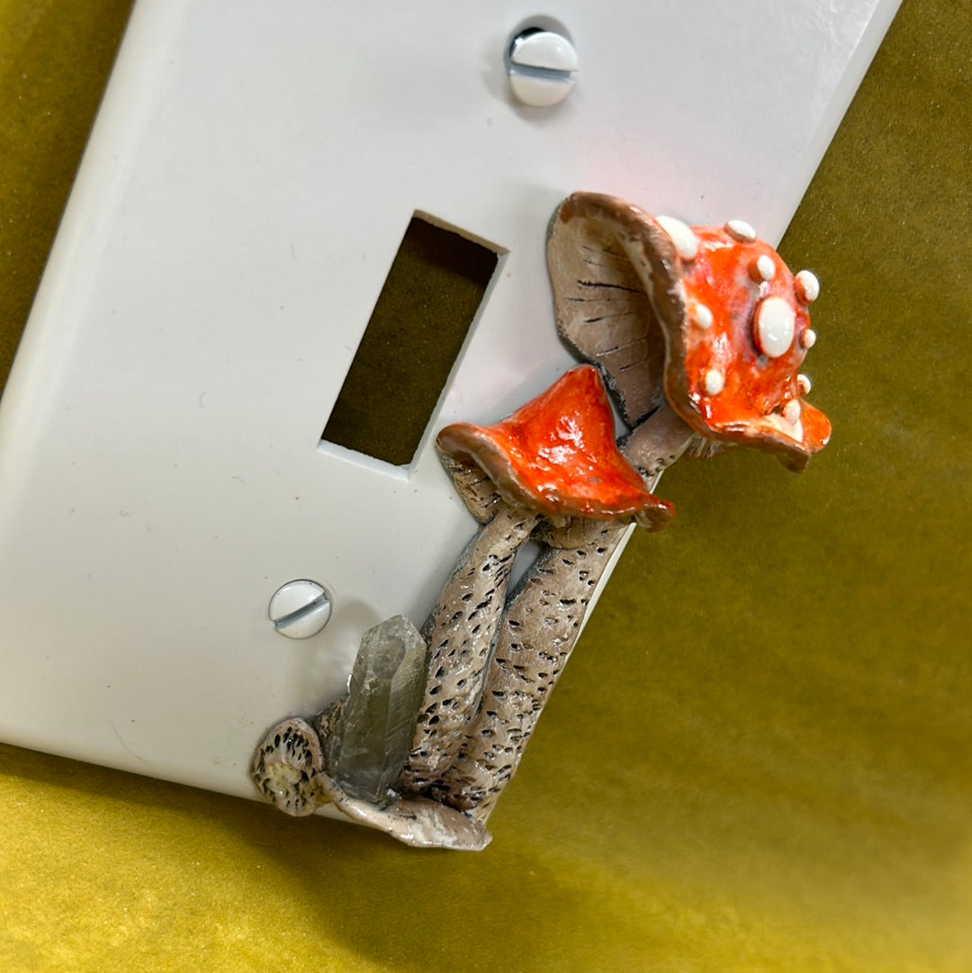 Mushroom and clear quartz switch plate cover