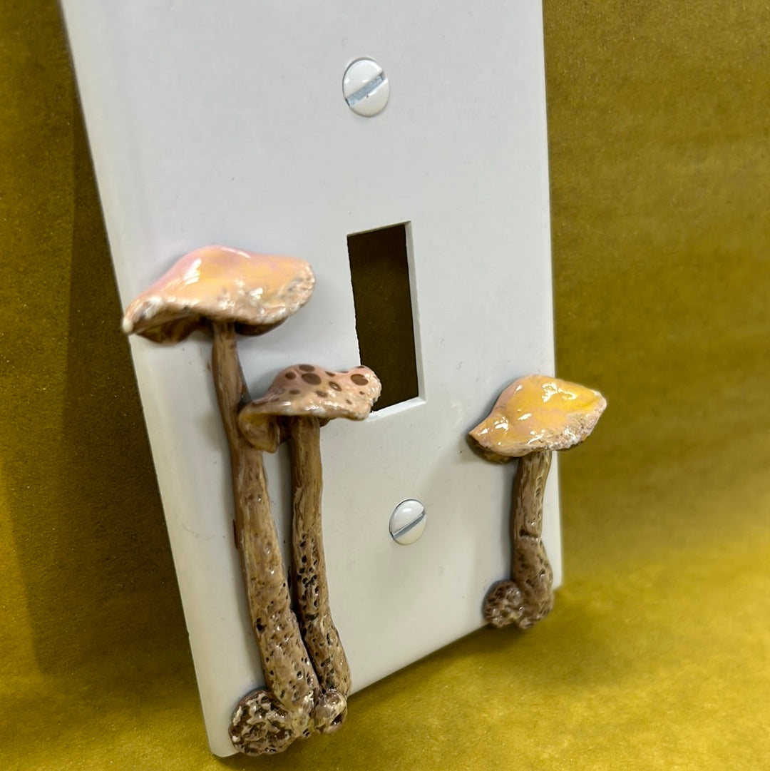 Mushroom switch plate cover