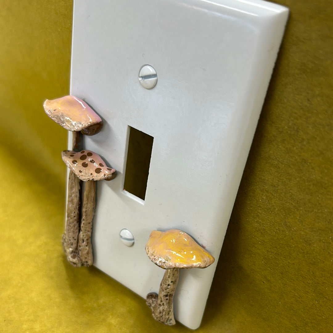 Mushroom switch plate cover